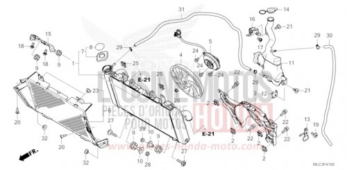 RADIATOR/RESERVE TANK XL750P de 2023